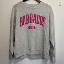 Hollister Light Gray Barbados Crewneck Pullover Pink Lettering Sweatshirt XS Top