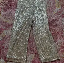 Sparkly Pants Express 