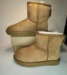 Classic Mini II Genuine Shearling Lined Boot casual comfy style winter cozy