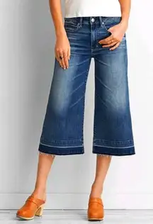 American Eagle Outfitters Blue Festival Crop Flare Jeans