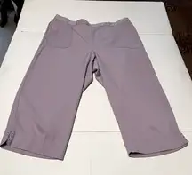 Alfred Dunner Womens Size 18 Lilac Lavender Capri Pant Two Front Pockets Pull On