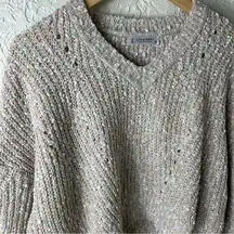 Cozy Cropped VNeck NWT Sweater