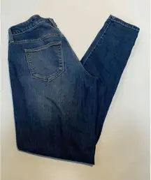 Universal Thread Women's Mid-Rise Jegging Jeans Size 4/27R