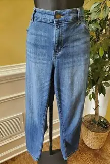 Terra & Sky Straight Leg Blue Jeans Size 16W