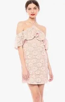 NWT JACK by BB Dakota Misty Rose Dress XS