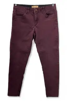 Democracy Skinny Jeans 8 Chocolate Brown Academia Preppy Fall Harvest 2010s