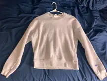 Champion Reverse Weave Crewneck Grey