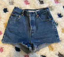 Ribcage Denim Shorts