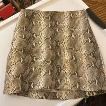 Snakeskin Mini Skirt
