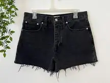 Madewell The Dadjean Short Sz 28