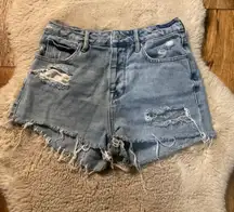 Pacsun Mom Jean Shorts Size 25 Cut Off Denim‎ Shorts Raw Hem