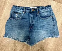 JustFab Denim Shorts