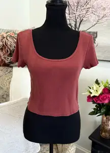 American Eagle Outfitters Pink Crop T-Shirt Fitted