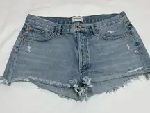 Agolde Women’s Distressed Light Blue Shorts Size 31