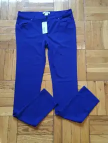 Blue Jeggings