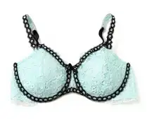 Victoria’s Secret Retro Chic Full Figure Bra size 36C