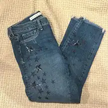 Pilcro And the Letter press women’s Jeans slim boyfriends size 27