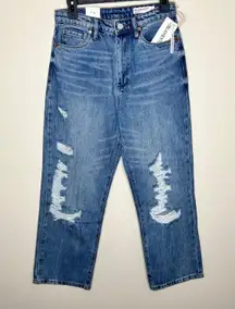 NWT  Baxter Ribcage Straight Leg Jeans 27 Distressed Ankle High Rise