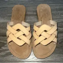 Signature by Journee Tan Slides