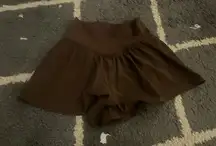 Aerie Shorts