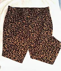 Leopard Pants NWT