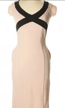 Almost Famous Curvy Blush dress XL