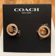 Coach NWT  Gold Halo Stud Earrings