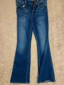 American Eagle jeans size 10 long