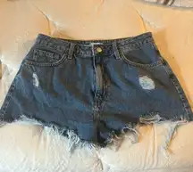 Medium Wash Jean Shorts