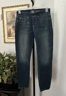 Levi Strauss Signature Gold Jeans Womens W28 x L30 Mid Rise Straight Stretch