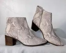 Seychelles NEW Occasion Nueutral Snake Print Ankle Boot- Size 8