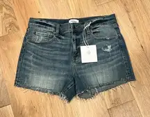 Pistola size 30 cut‎ off denim shorts, wash code prism