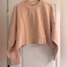 OFFLINE Aerie Throw-Back Crop Crewneck Ballet Dusty Pink Sweatshirt - size XL