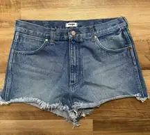 Festival Short