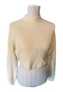 Hollister Cream Turtleneck Cropped Size S