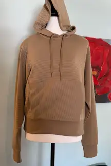 NWT NEW DSG So Soft Ottoman Hoodie Women’s  Warm Stone Beige Top Size XS Rtl $50