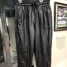 BLANKNYC PLEATHER PANTS