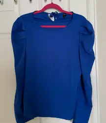 SHEIN Royal Blue Long Sleeve Blouse Top