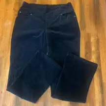 Chadwicks Pants 10 Black Soft Textured Pull on Stretch Waist