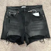 NWT  Shorts