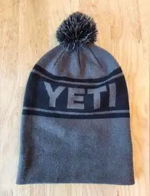 Yeti  winter hat gray