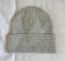 Aritzia Light Gray Speckled Beanie