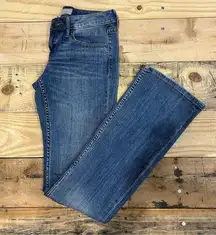 NWT Banana Republic Women's Blue Denim Bootcut Jeans Sz 25/0S