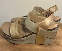 OTBT wedges