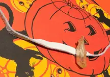 Large yellow crystal white leather wrap necklace/bracelet