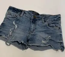 STS Blue Distressed Denim Short