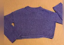 Wild fable cropped sweater