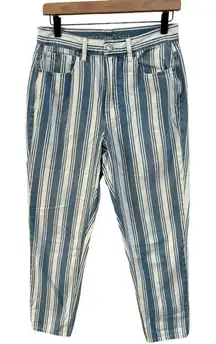 American Eagle‎ Retro Indigo Stripe High Waist Mom Jean - 6