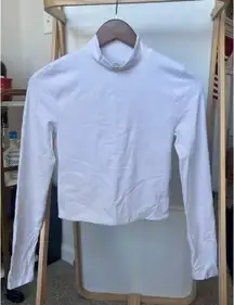 Aritzia Contour Long Sleeve Mockneck