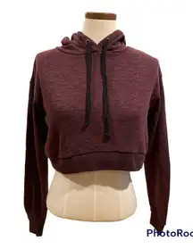 Essentials by  Crop Hoodie Sweatshirt